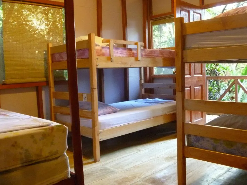 Hostel style room with dorm beds at Luz en el Cielo Eco