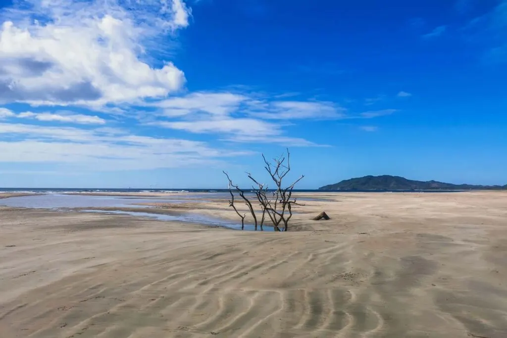 Playa Grande, Tamarindo, Costa Rica