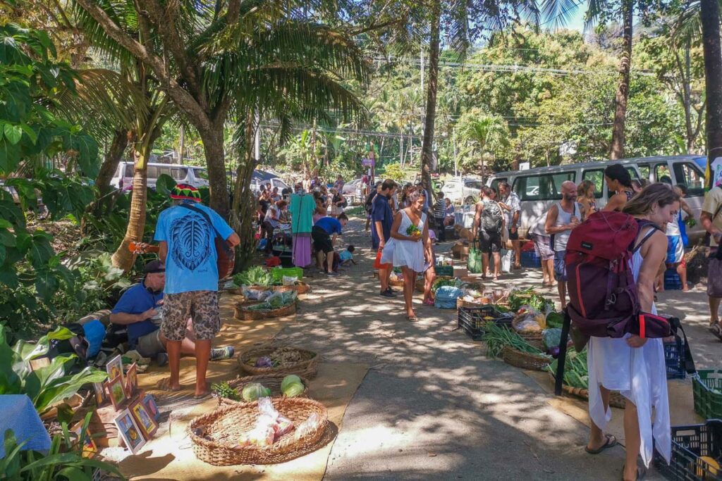 Saturday Organic Market in Montezuma, Costa Rica!