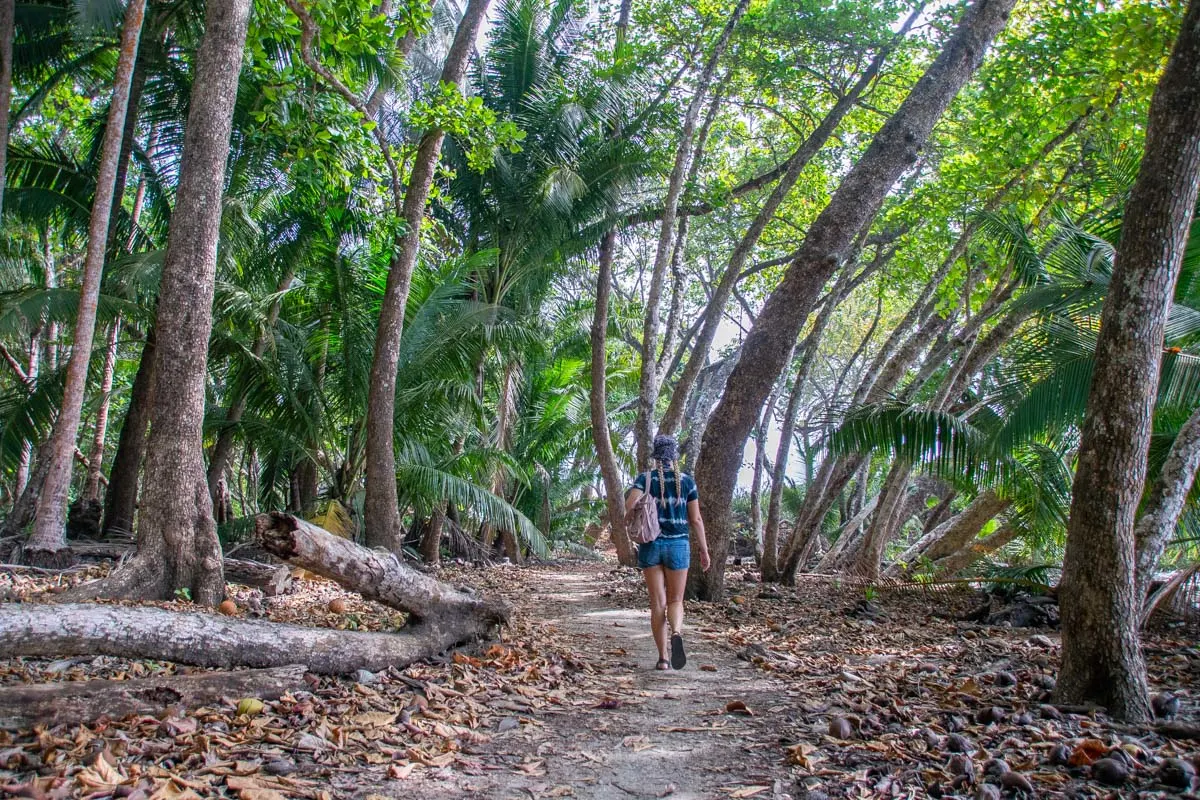 Walking through Reserva Natural Absoluta Nicolas Wessberg 