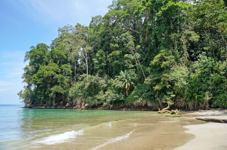 Beautiful beach in Limon, Costa Rica