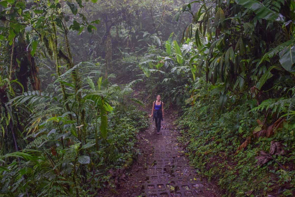 A lady walks through Monteverde Cloud Forest 