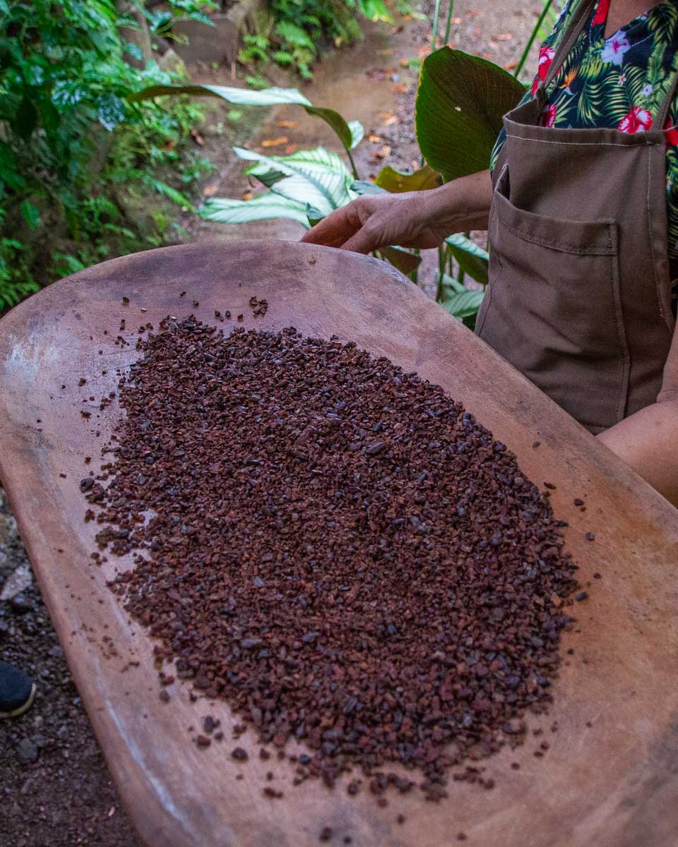 Chopped cacao beans on a tour in Manuel Antonio