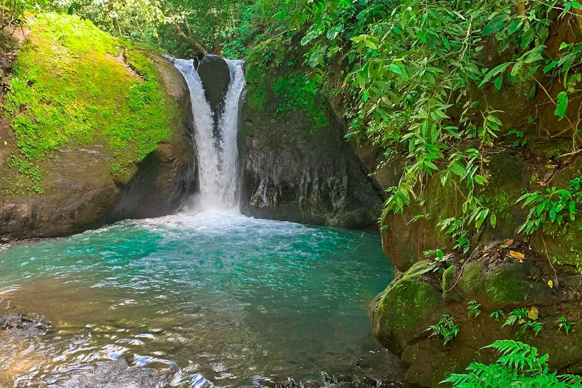21 BEST Things To Do In Uvita Costa Rica Our Favorite Activities 