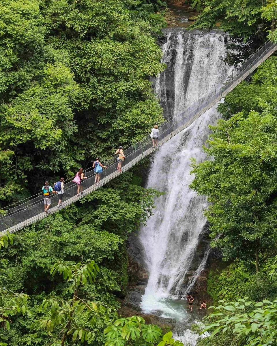 A draw bridge over a waterfall at Los Campesinos Reserve and Lodge 