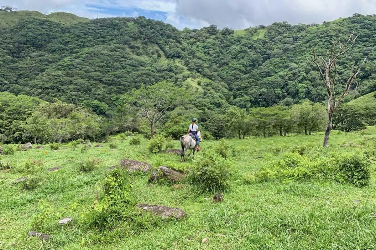 Monteverde Horseback riding