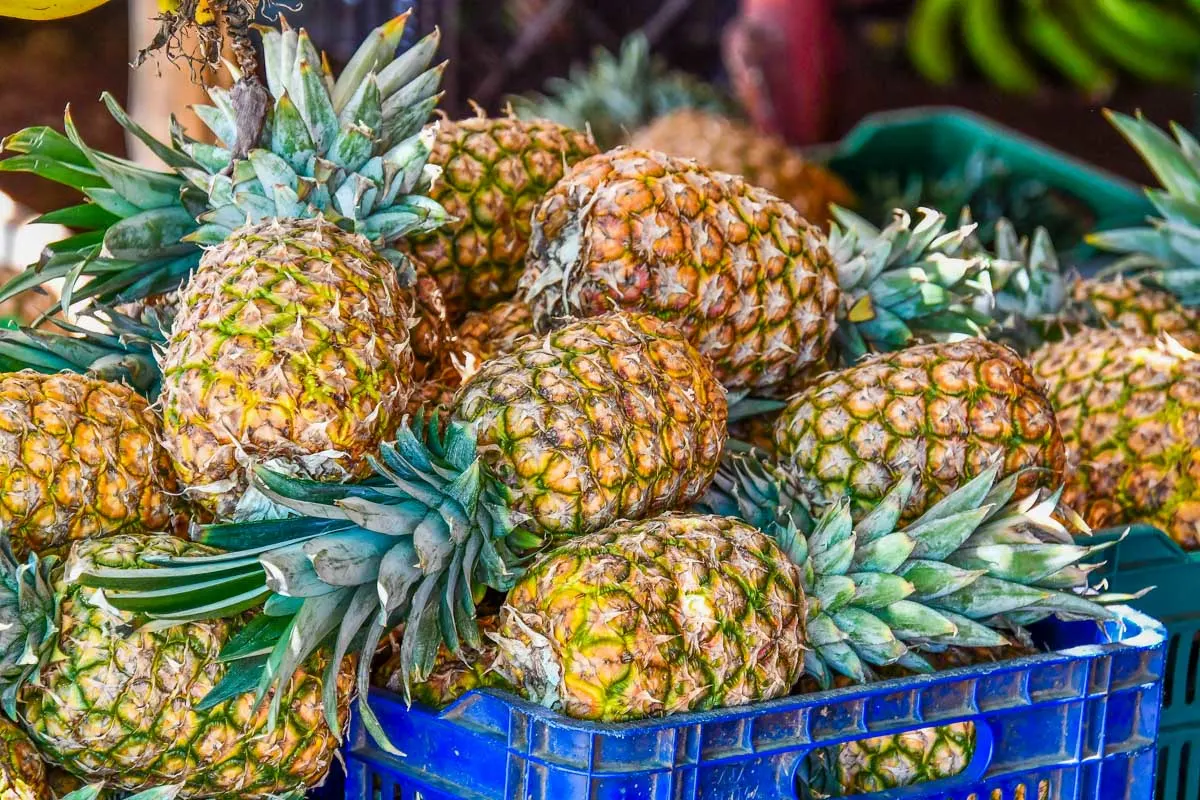 Pineapple at the Quepos Farmers Market