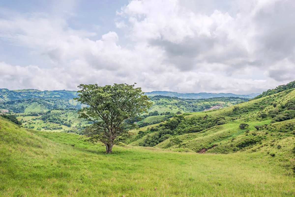 Scenic view in Monteverde, Costa Rica