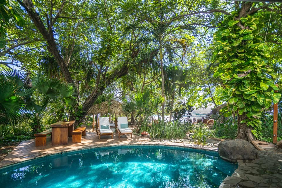 the pool in the jungle at Sueño del Mar Beachfront Hotel