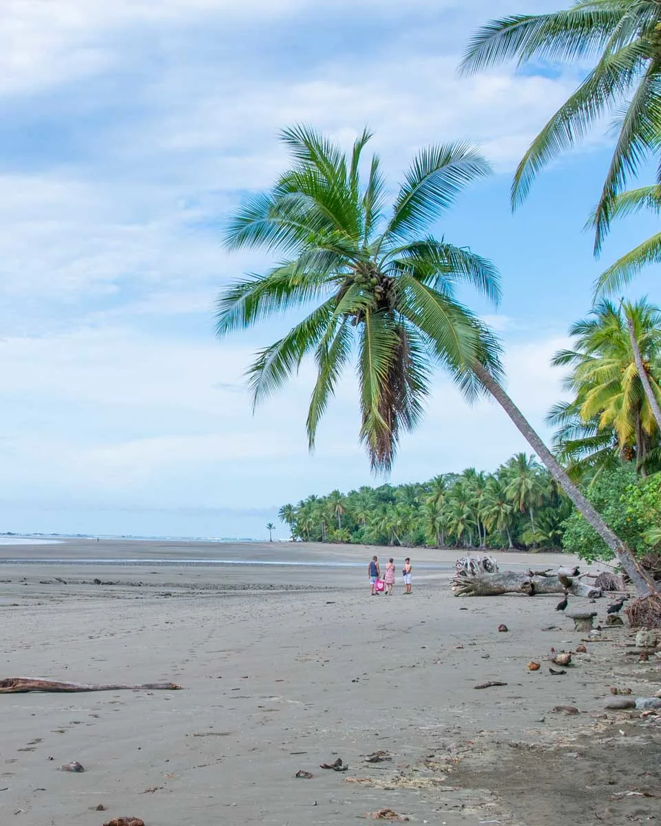 21 BEST Things To Do In Uvita Costa Rica Our Favorite Activities 