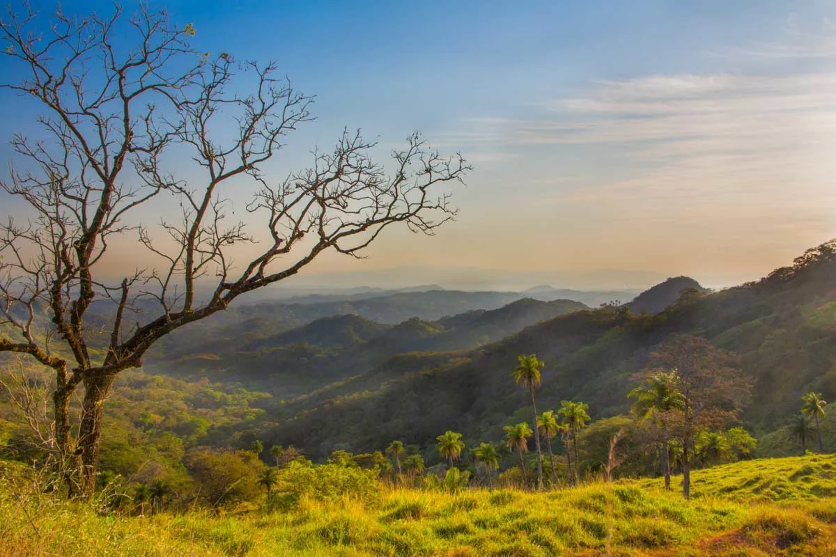 View from Cerro Pinocho in Monteverde at sunset