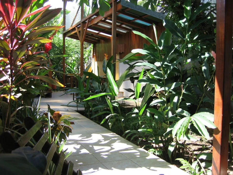 gardens at Hotel Pura Vida