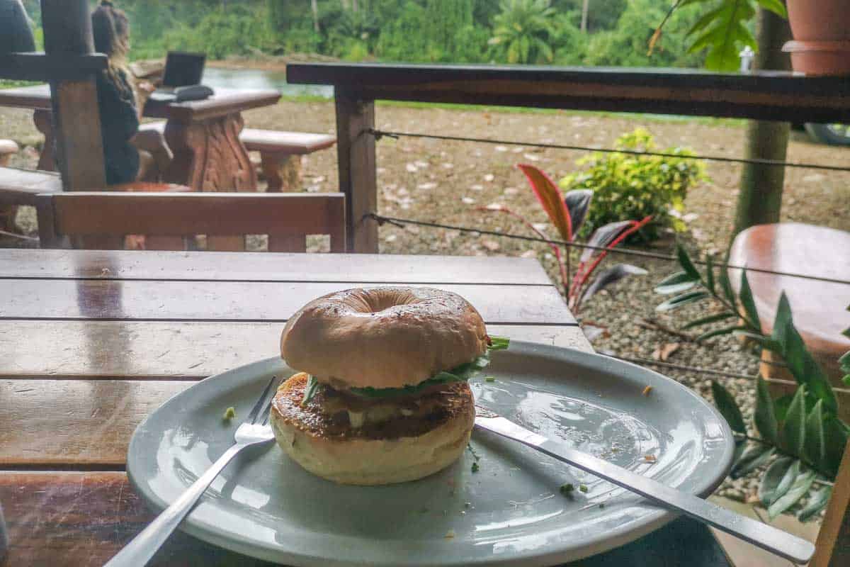 A bagel at Cafe Mono Congo with a view of the river