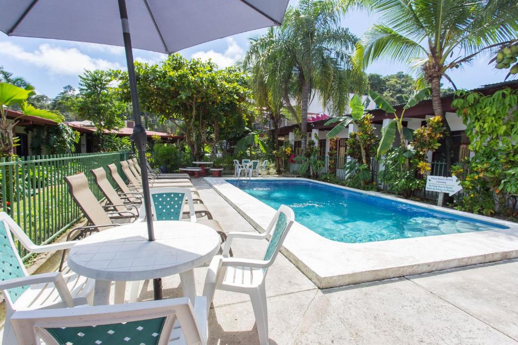 a pool and patio on a sunny day surrounded by palm trees at Wide Mouth Frog in Quepos