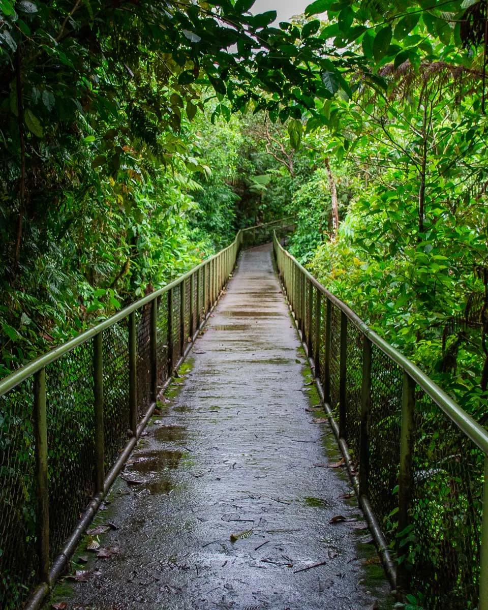 A metal bridge on the way to Rio Celeste on the hike