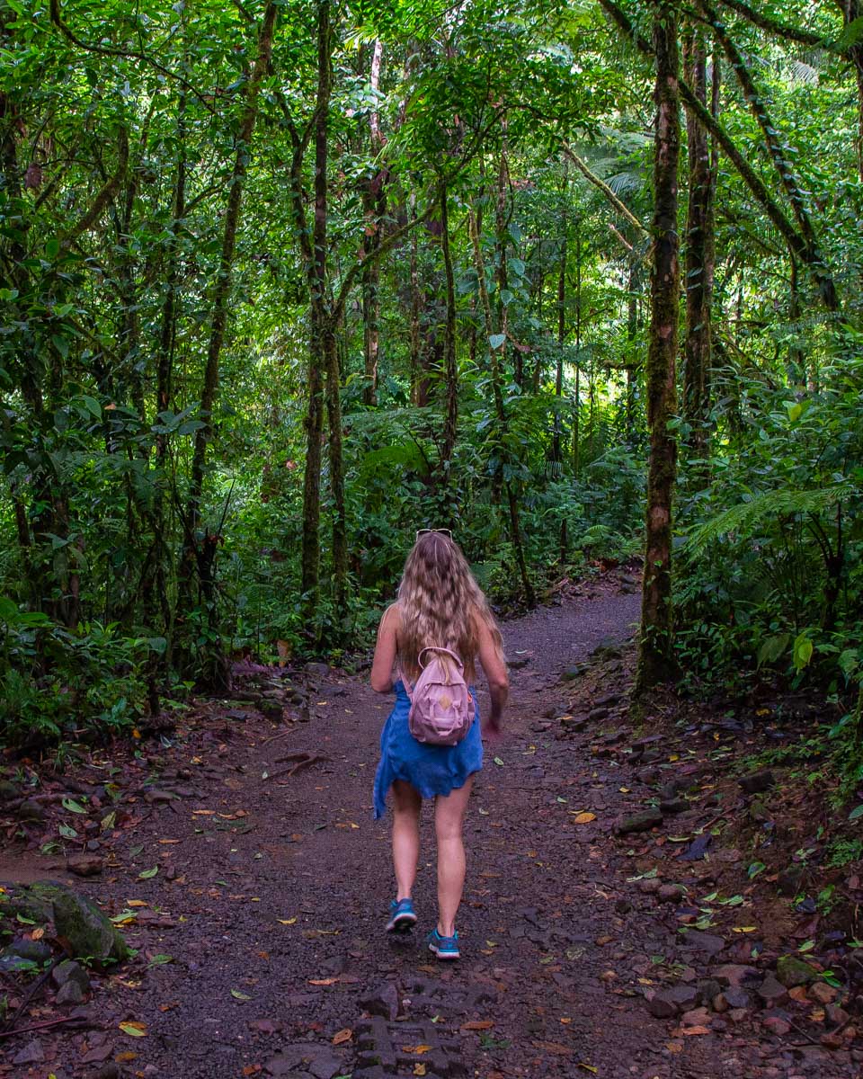 Bailey walks along a trail to Rio Celeste, Costa Rica