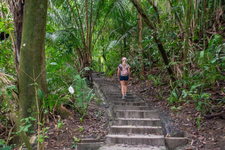 A lady walks up some stairs in Manuel Antonio NP