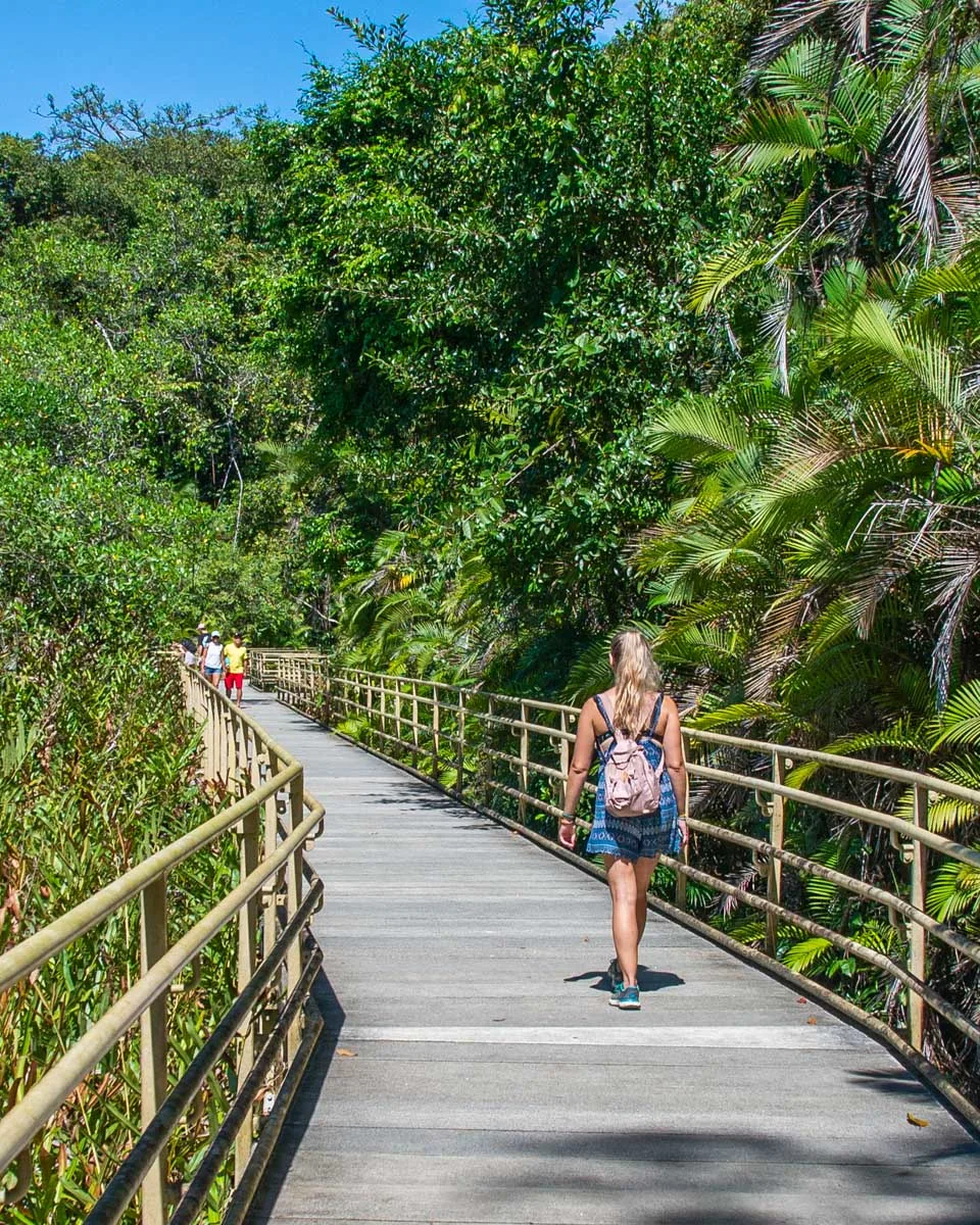 Bailey walks a boardwalk in search of wildlife in Manuel Antonio NP