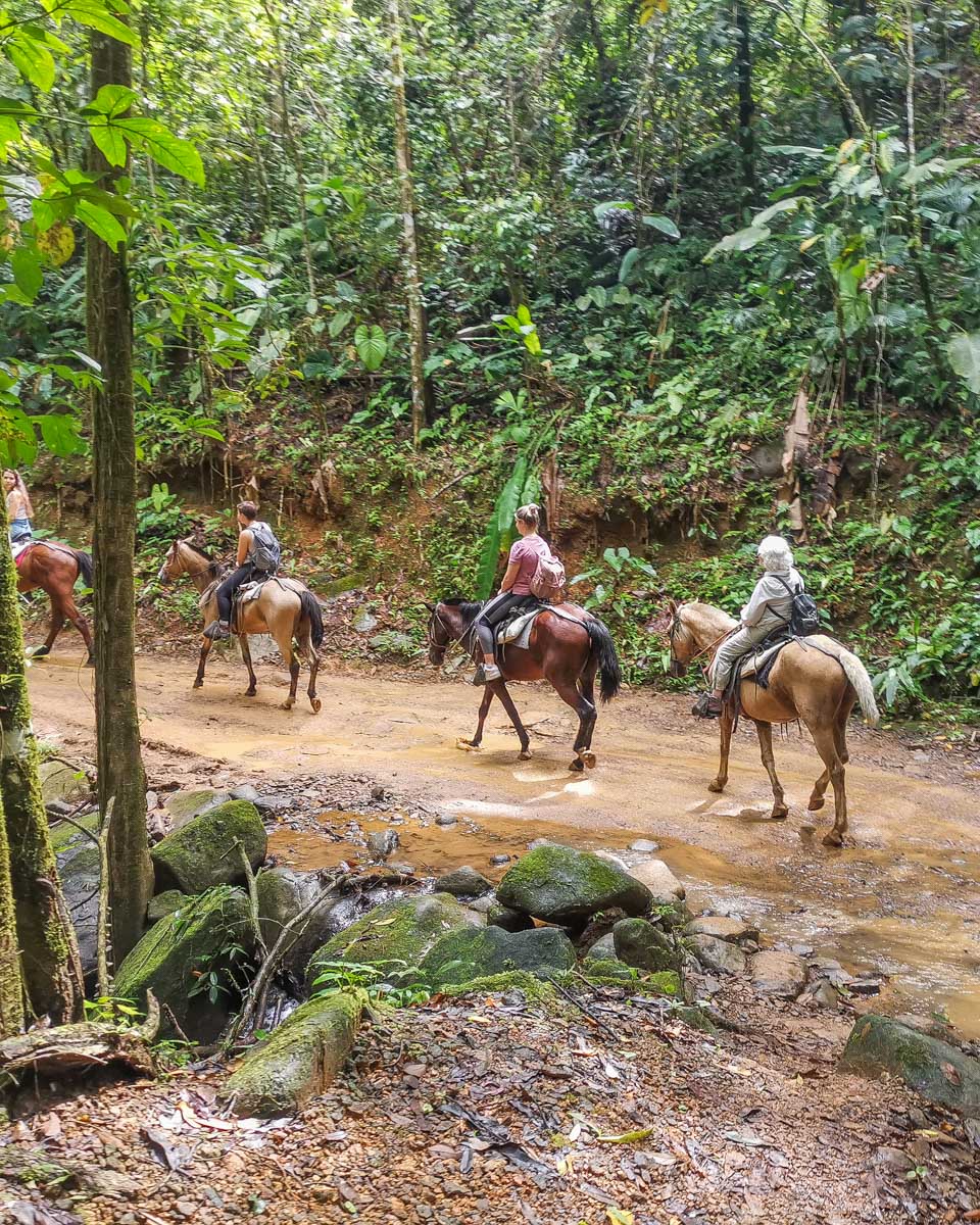 Horses travel single file to Nauyaca Waterfalls