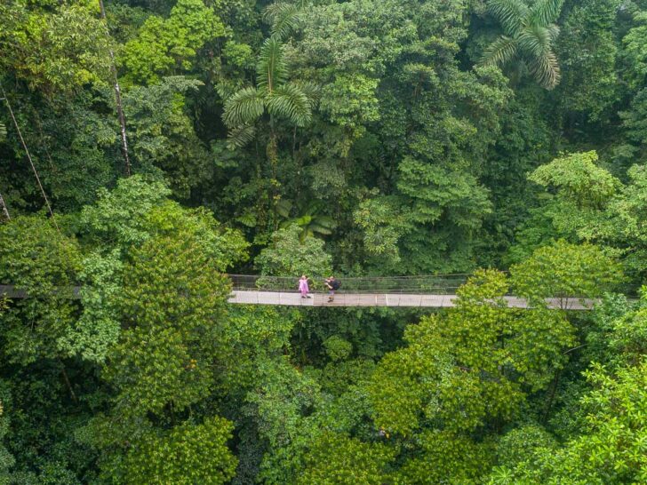 A Hanging Bridge in La Fortuna, Costa Rica