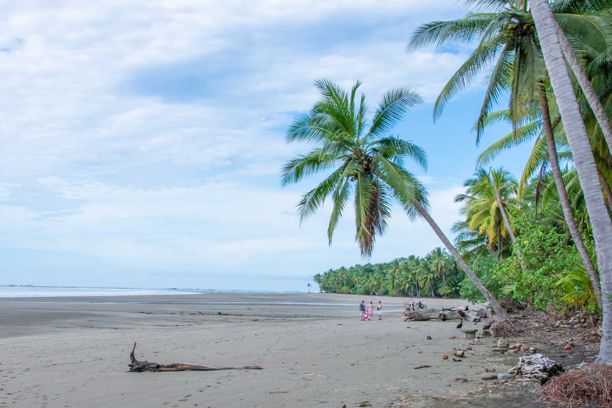 The pristien beach in Marino Ballena National Park in Uvita, Costa Rica