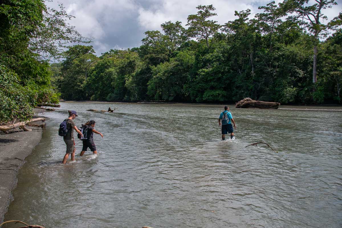 A group of people cross a river in Corcovado National Park