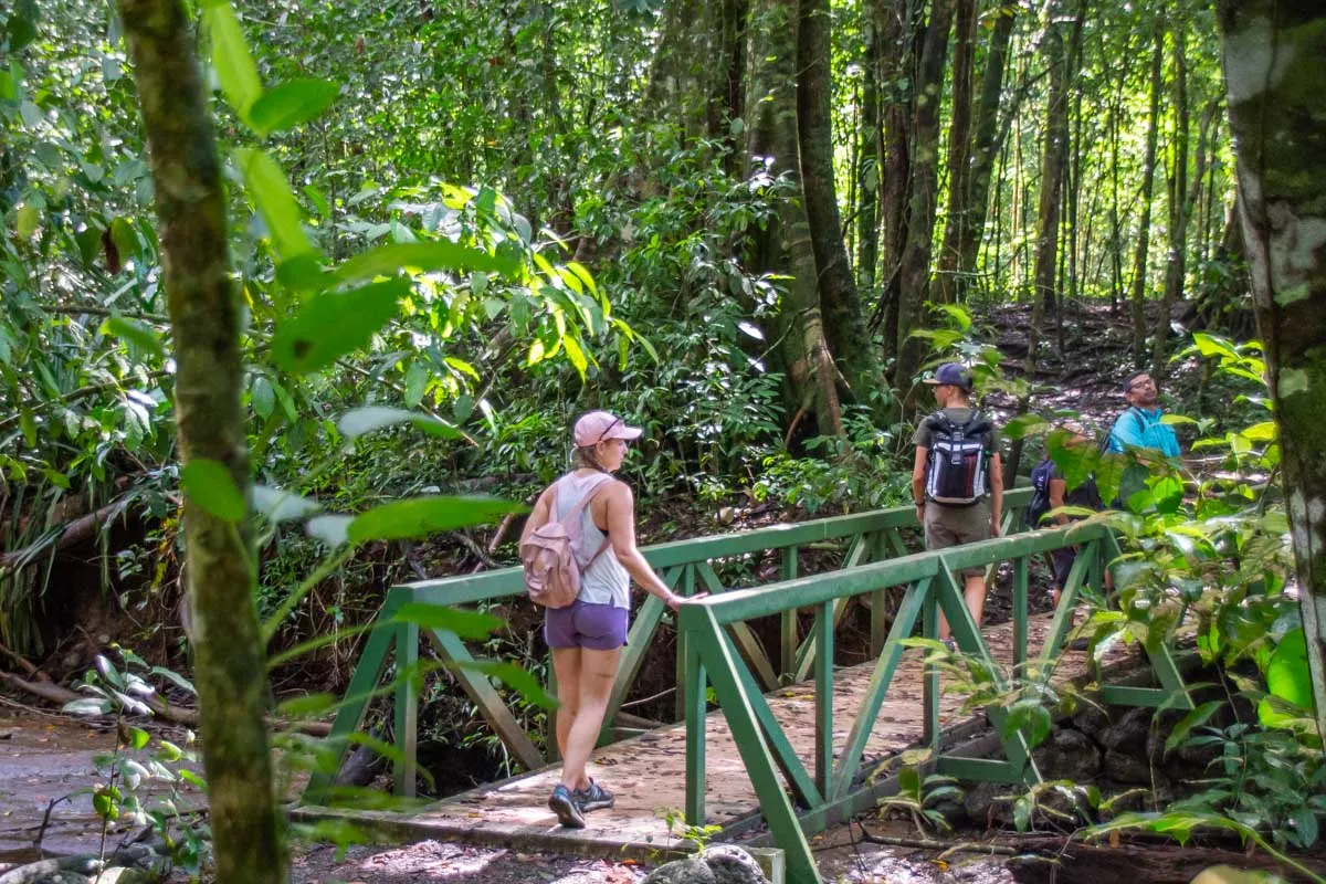 Bailey crosses a bridge in Corcovado National Park