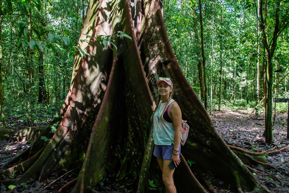 Bailey stands in front of a huge tree in Corcovado NP