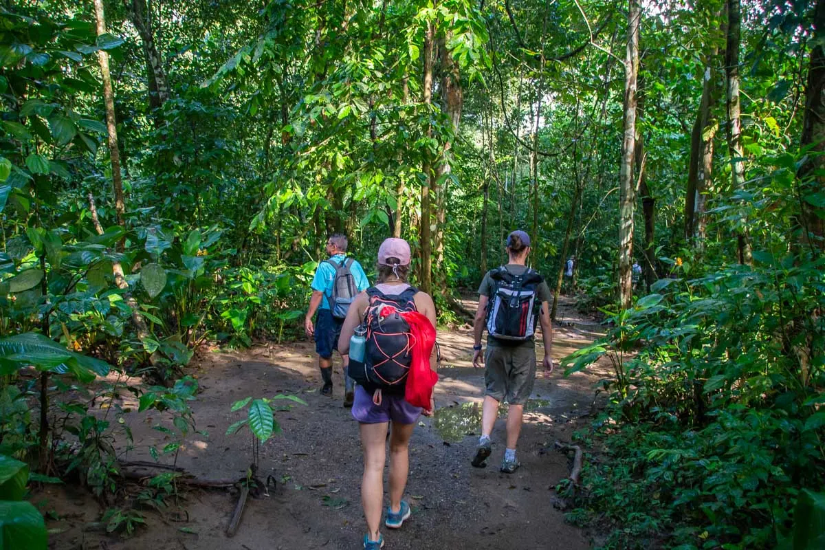 Bailey walks through Corcovado National Park with our tour group