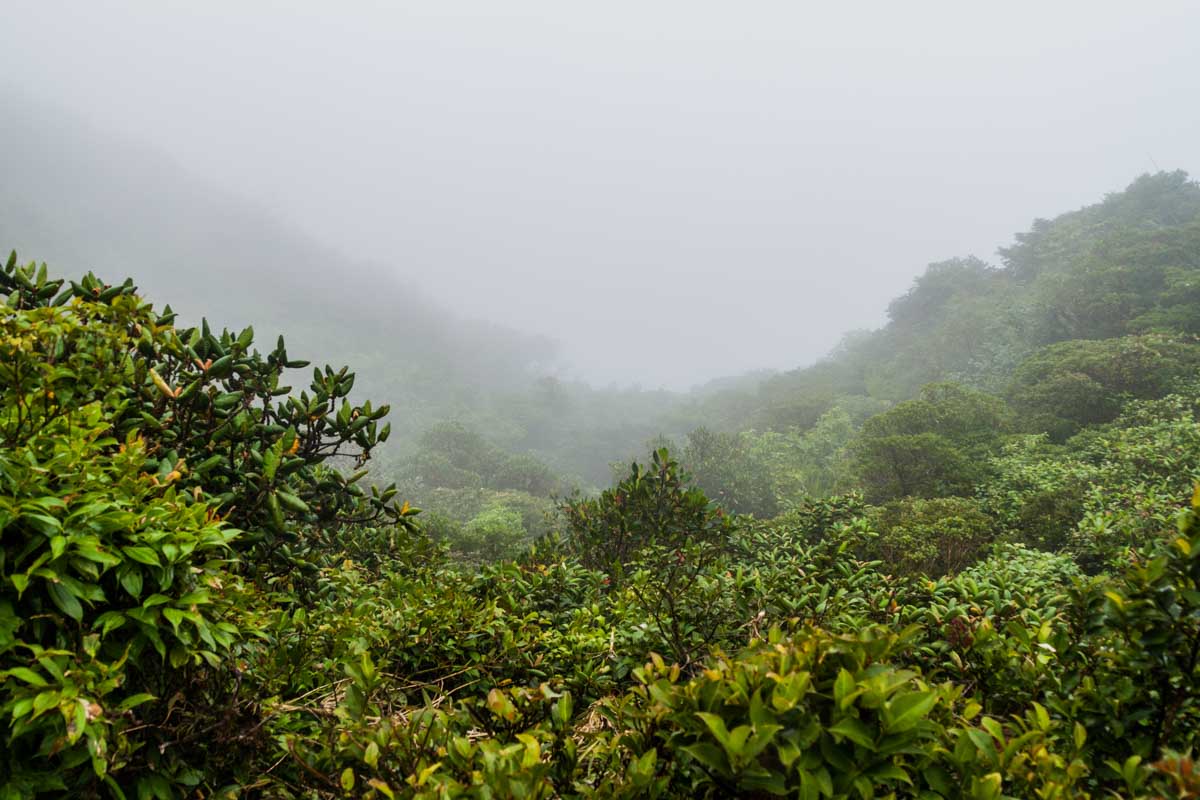 Dense cloud covers Monteverde Cloud Forest, Costa Rica