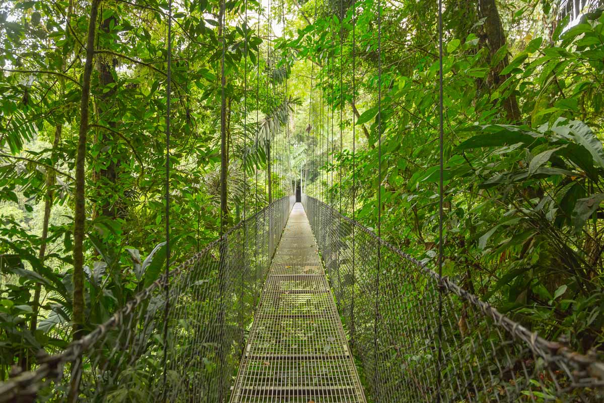 suspended bridge of Mistico Park Arenal in La Fortuna, Costa Rica