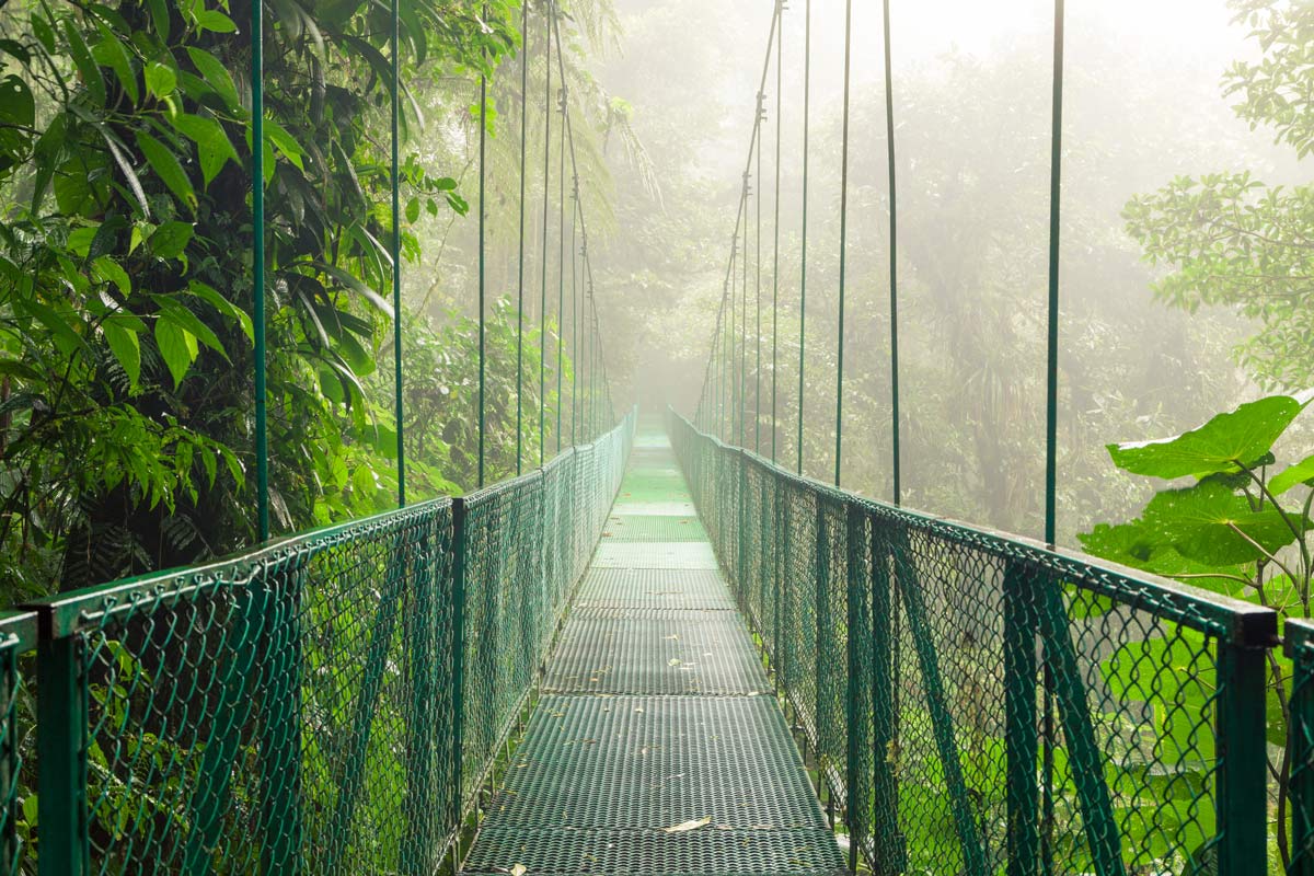 view of the bridge at Sky Adventures in Monteverde, Costa Rica