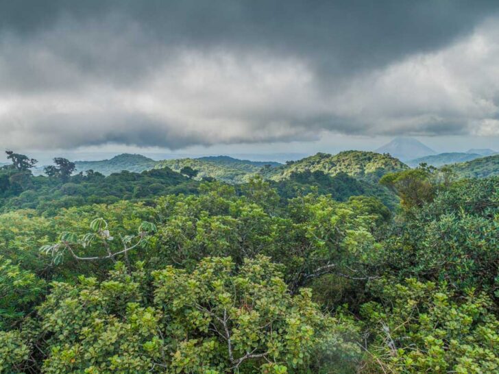 View of Monteverde Cloud forest