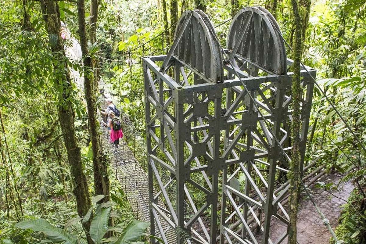 the rainforest of Mistico park in La Fortuna, Costa Rica