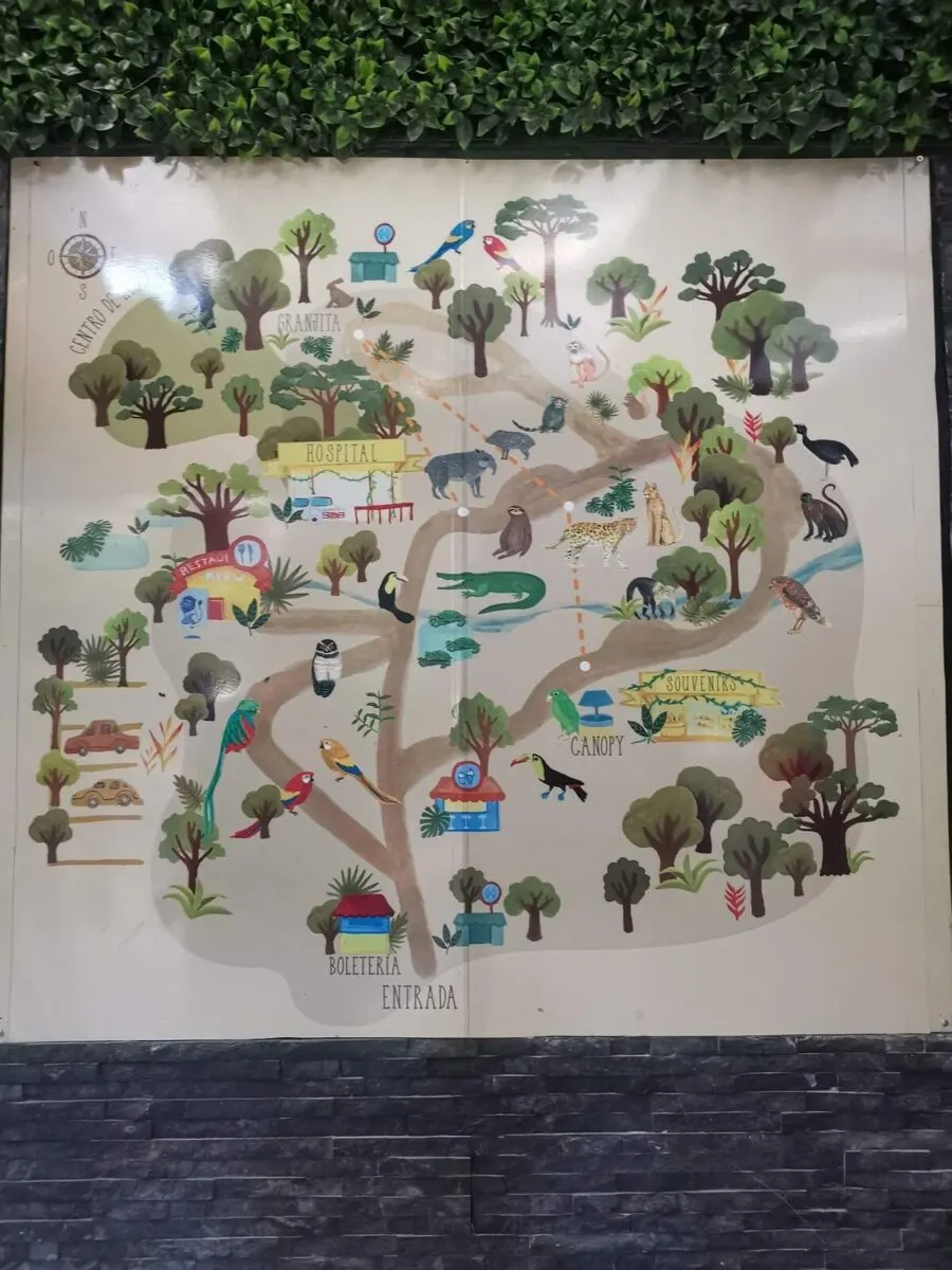 a map of Rescate Wildlife Center