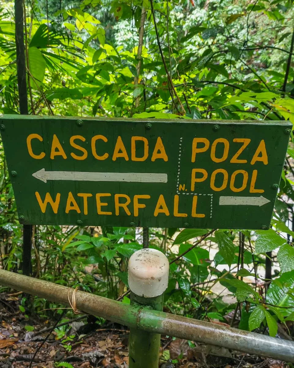 A sign pointing to Uvita Waterfall and the pool area on the trail