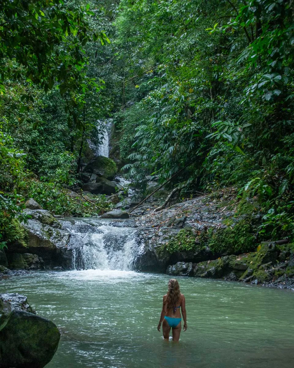 Bailey stands in the river look at Uvita waterfall