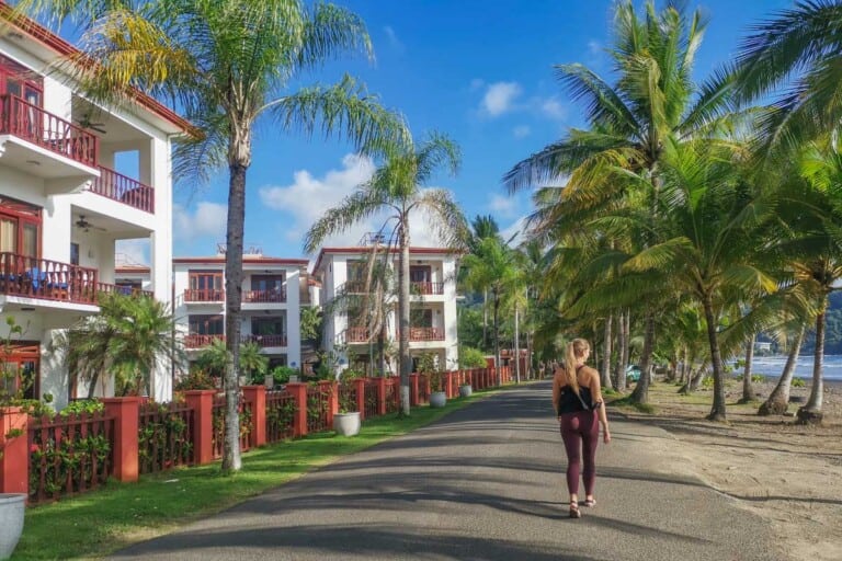 Bailey walks into our beachfront hotel in Jaco, Costa Rica