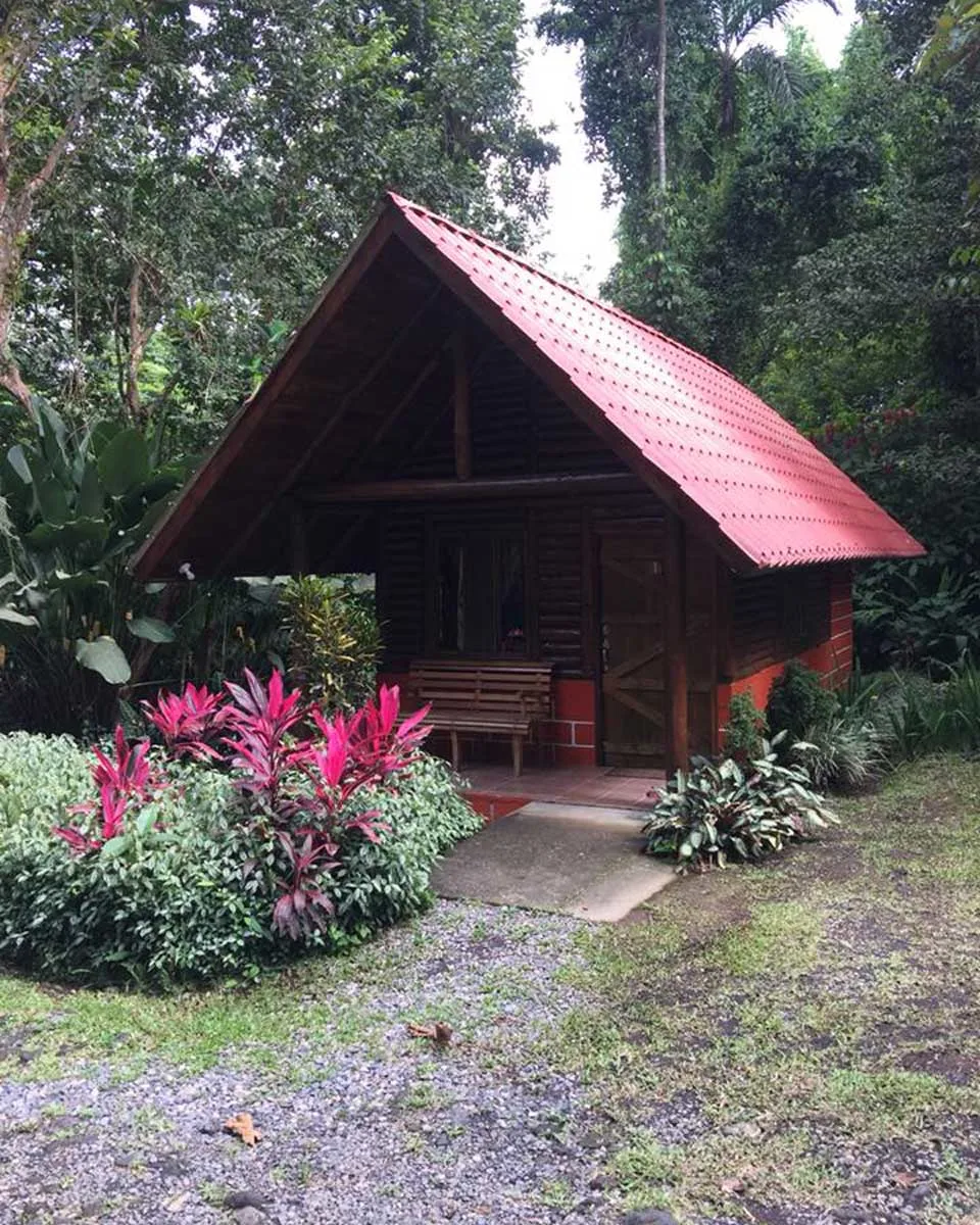 view of a Bungalow at Arenal Oasis Eco Lodge & Wildlife Refuge