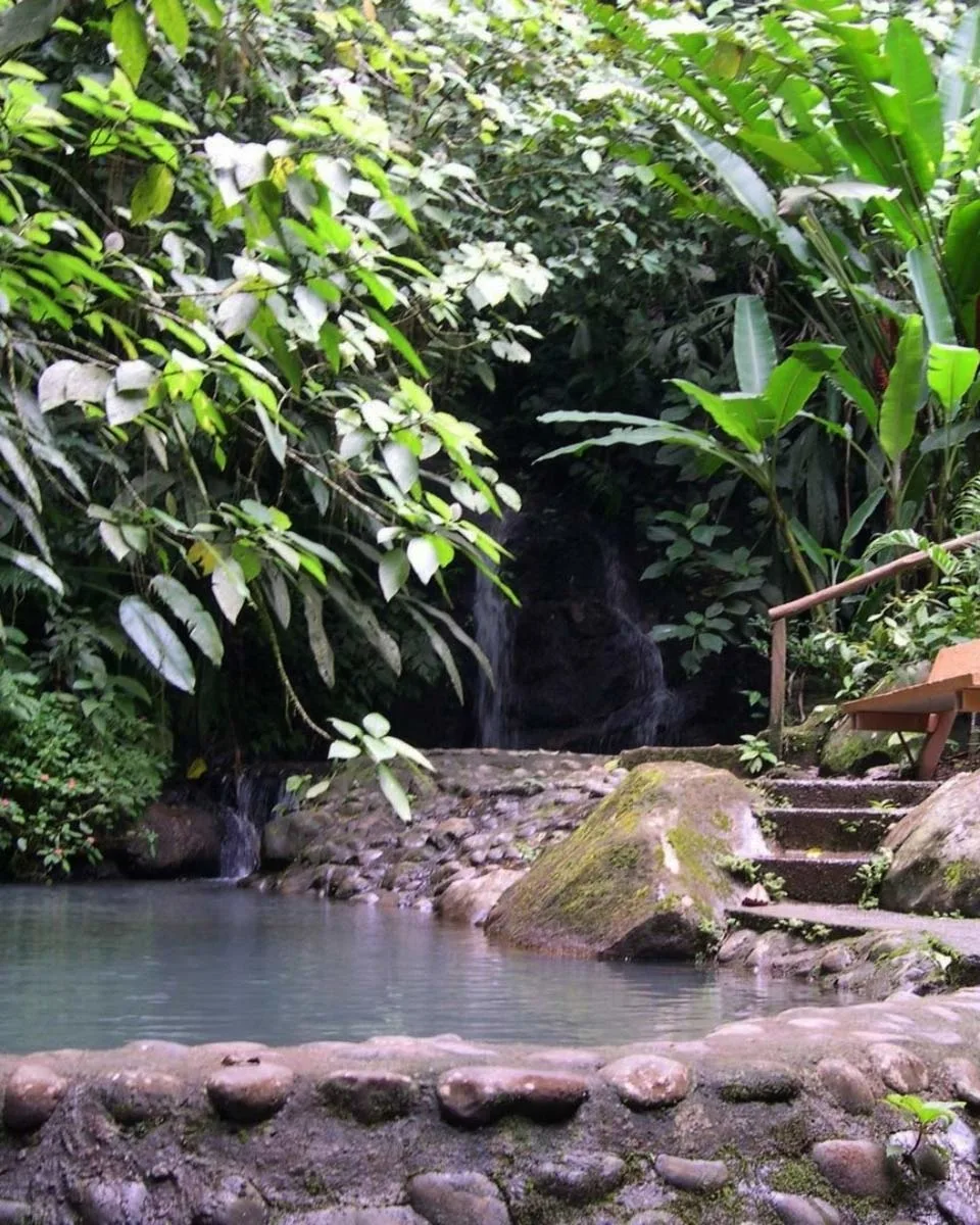 Natural Pool with waterfall at Tree Houses Hotel