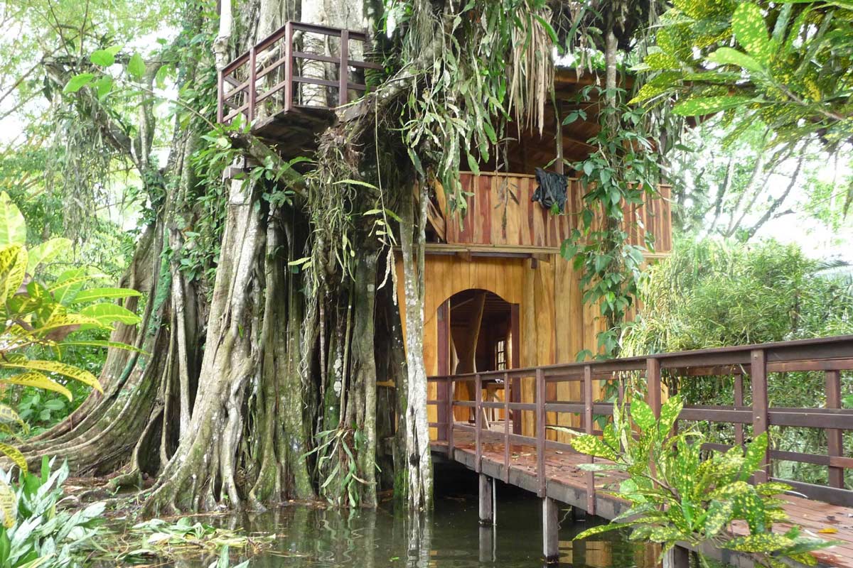 view of Topos Treehouse in Costa Rica
