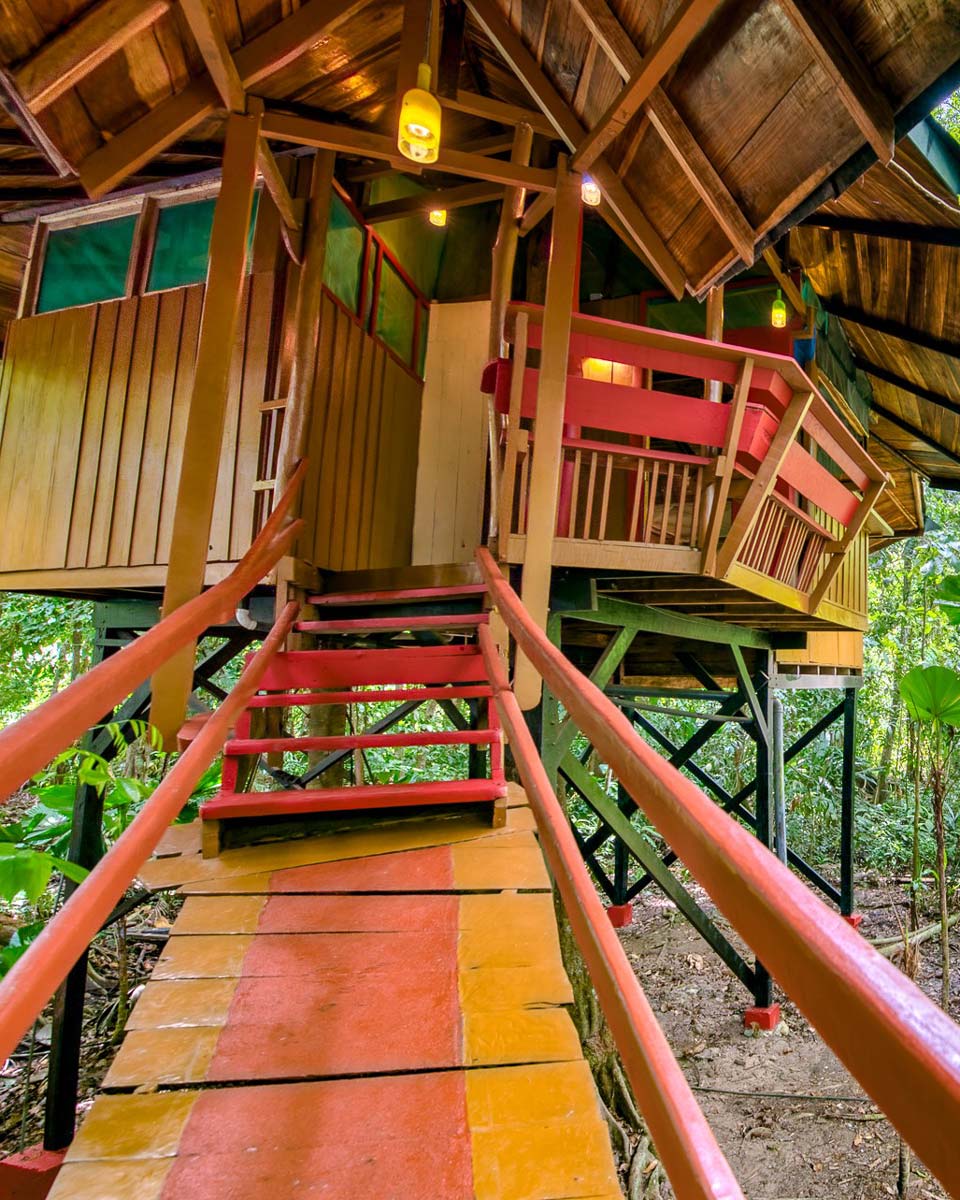 View of the Tree house suite at Treehouse Lodge in Costa Rica