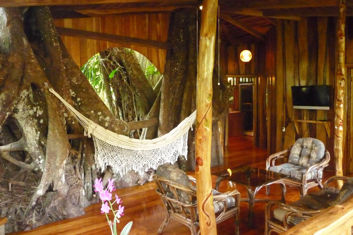 view inside Topos Treehouse 