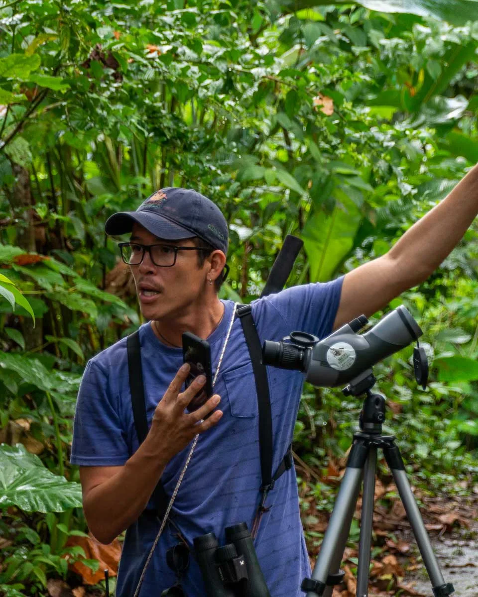 A bird watching guide points to a bird while bird watching in Manuel Antonio, Costa Rica