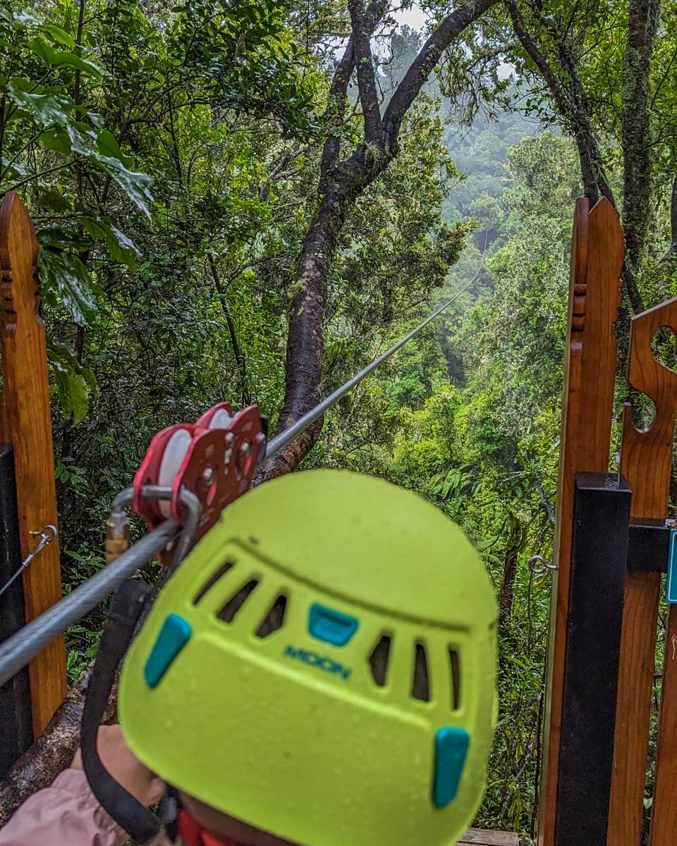 A photo of Bailey as she prepairs to go down a zipline in Costa Rica