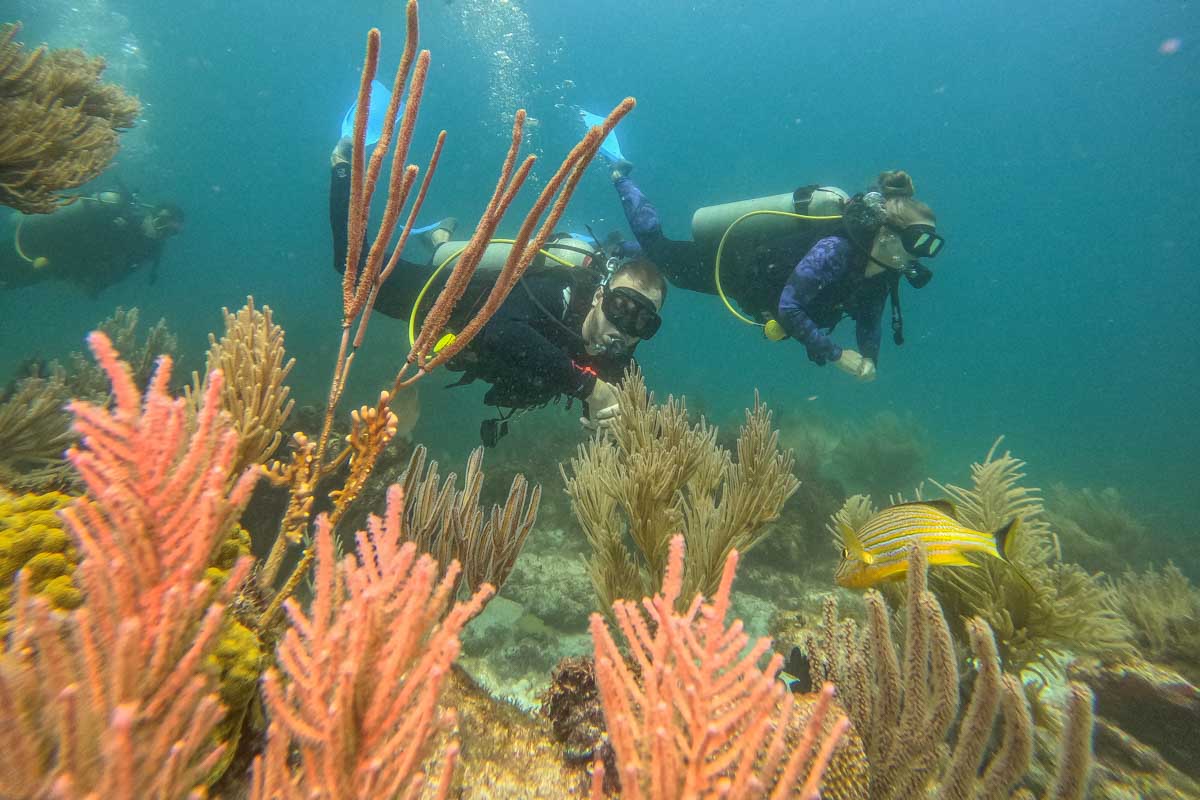 Bailey and Daniel scuba diving in Costa Rica with beautiful coral and fish around