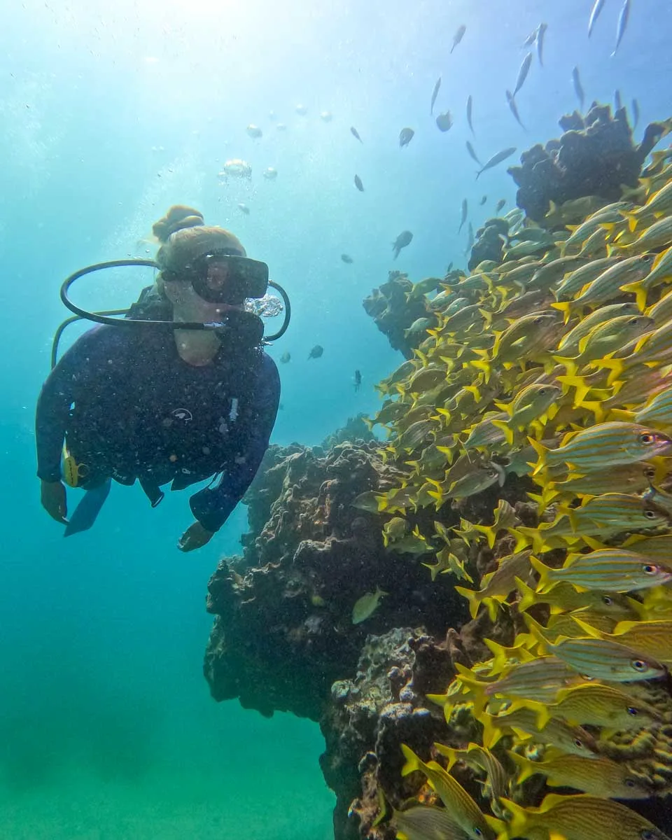 Bailey swims past a huge school of fish while scuba diving in Costa Rica