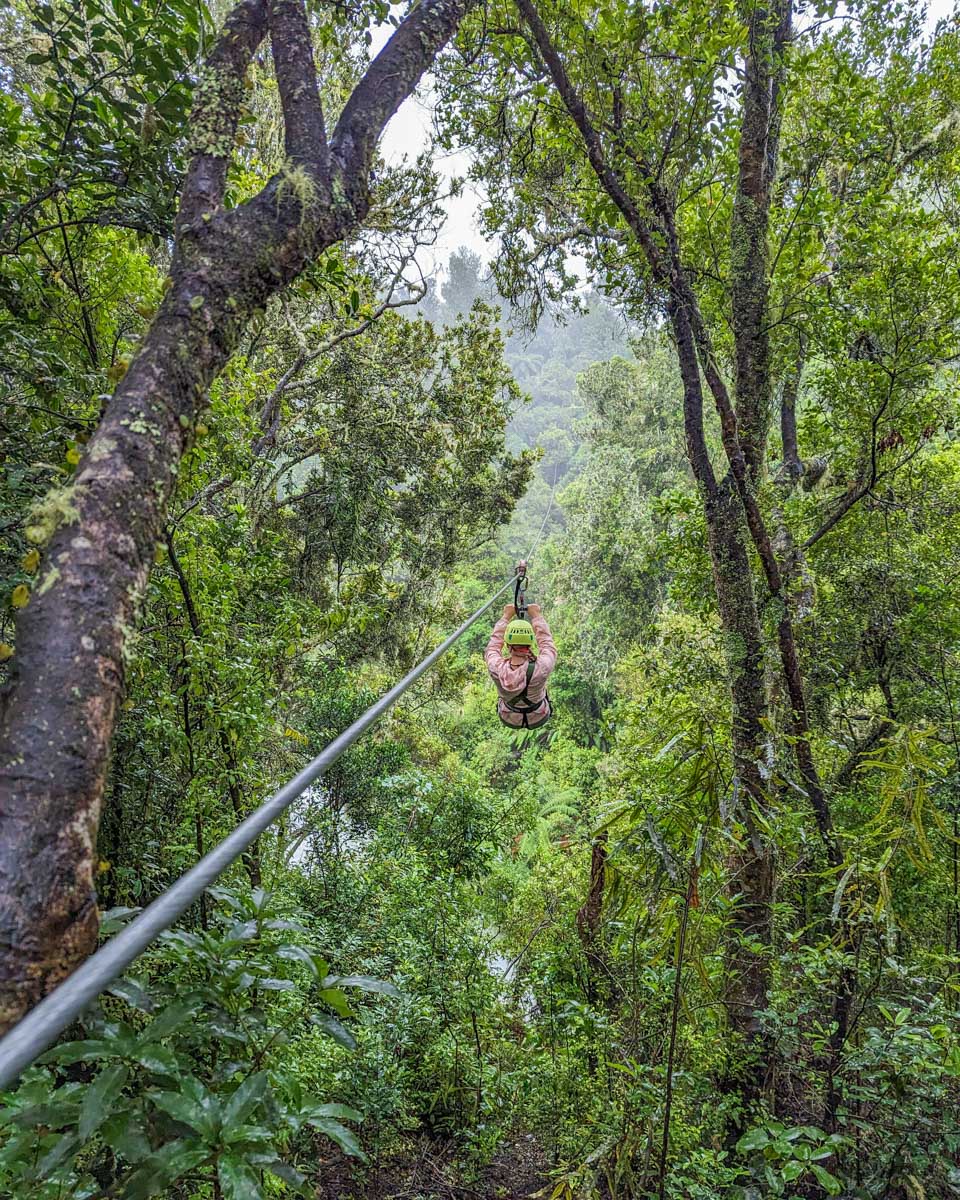Bailey ziplines in the jungle of Costa Rica near Jaco