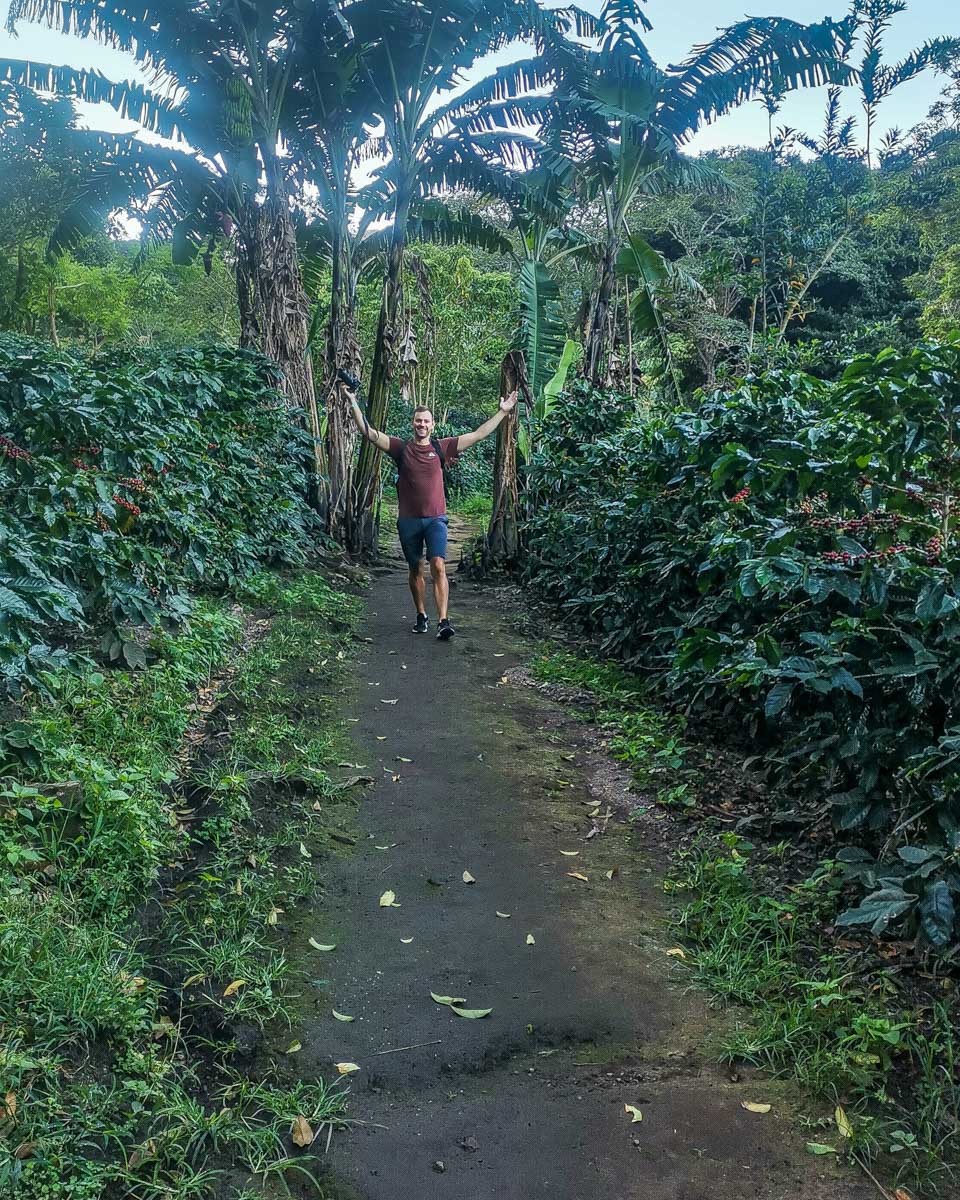 Daniel walks through a coffee plantation in Costa Rica