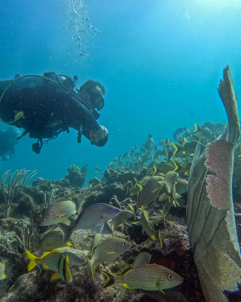 Daniel with a school fo tropical fish in Costa Rica